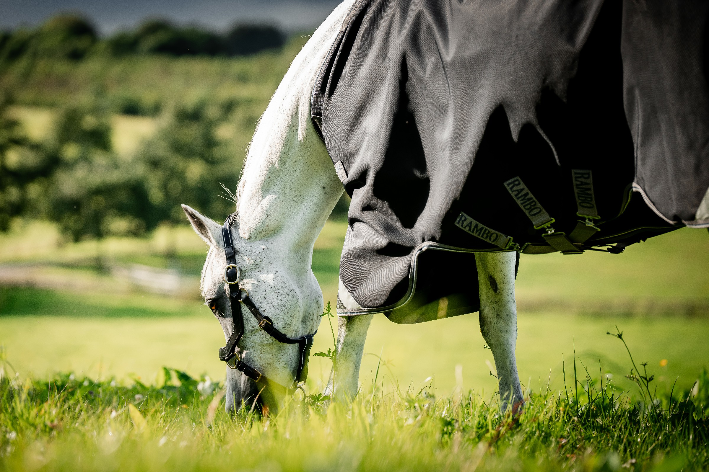 Capa Horseware Rambo 1680D Turnout 50g Preto / tempestade / cinza prateado Capa Horseware Rambo 1680D Turnout 50g Preto / tempestade / cinza prateado