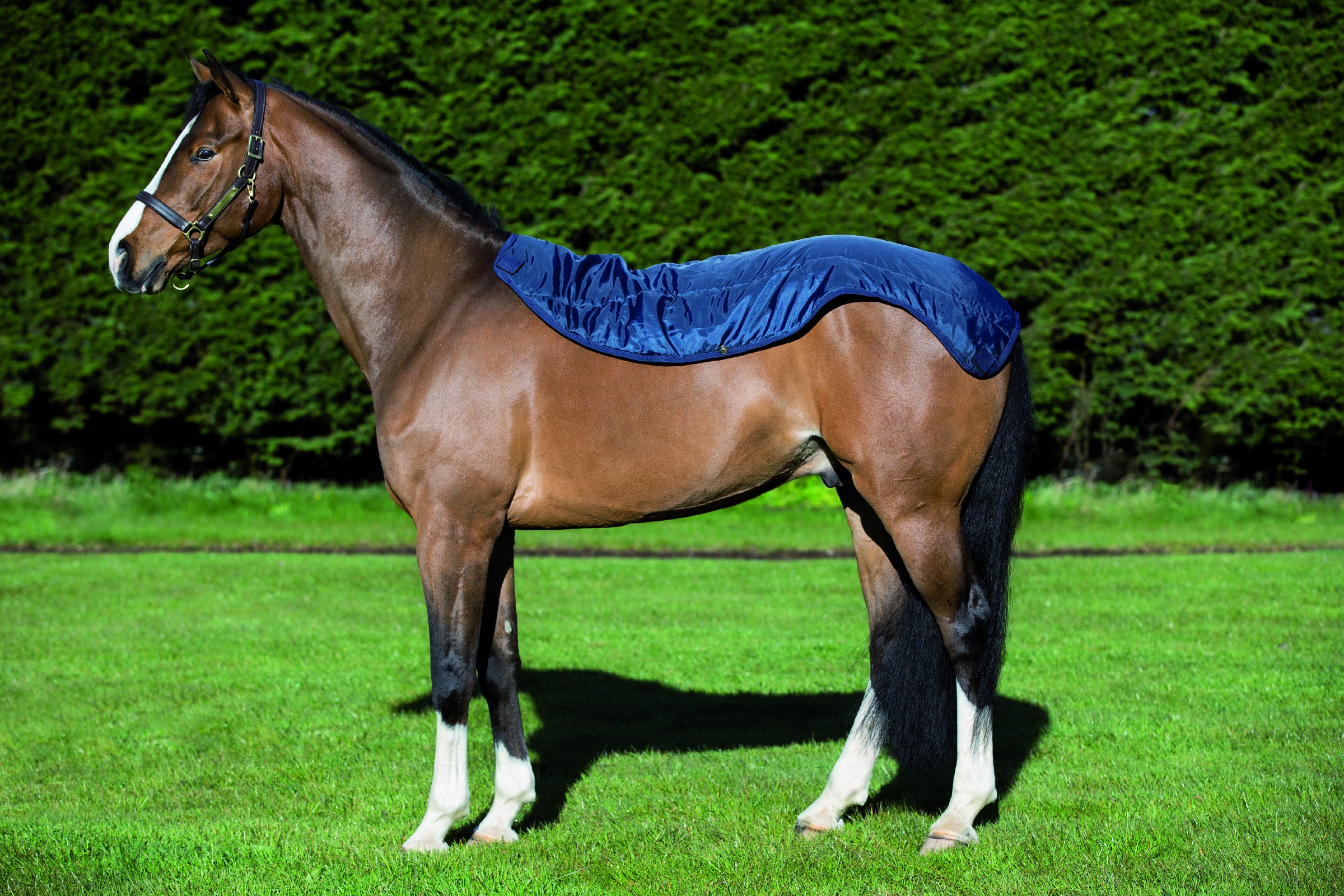 Capa Horseware Rambo Summer Series V-Front Marinho / cinza Azul