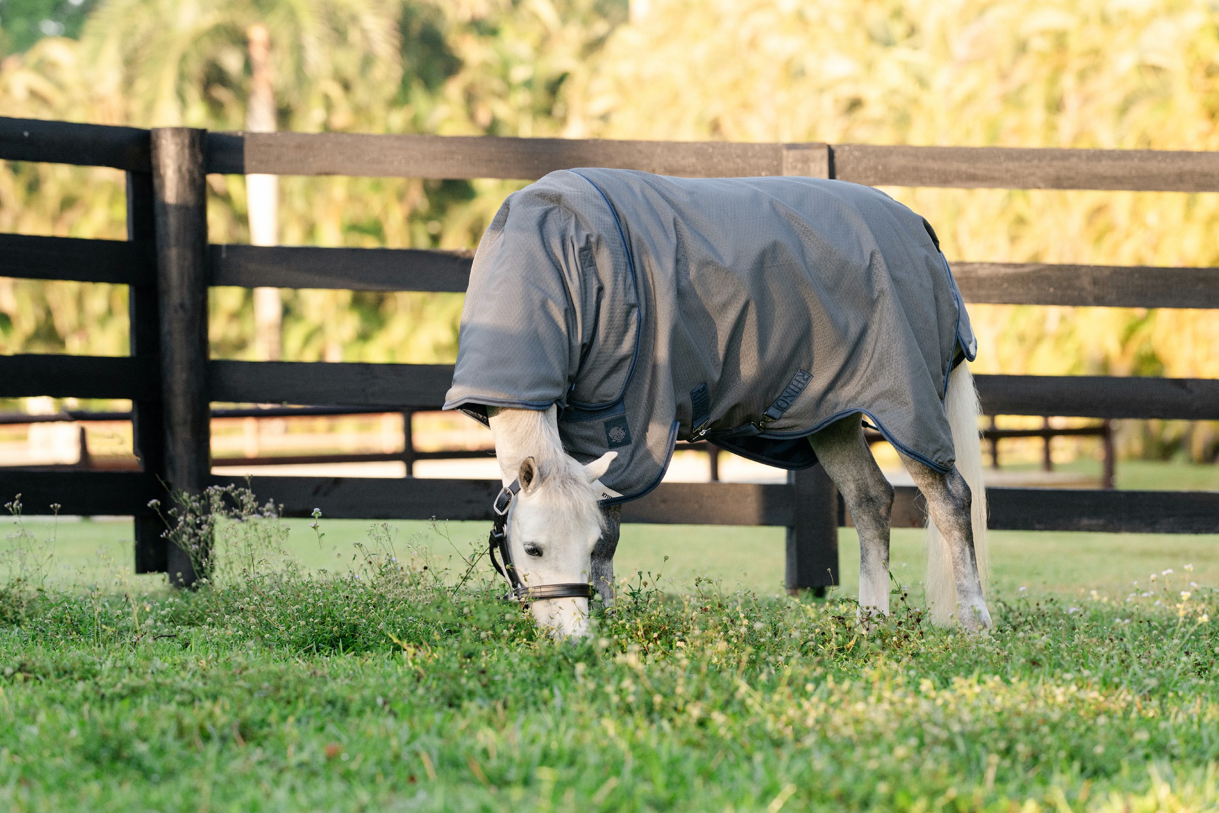 Capa Horseware Rhino Hexstop Plus Poney Turnout 100g Cinza / índigo / marinho Cinzento