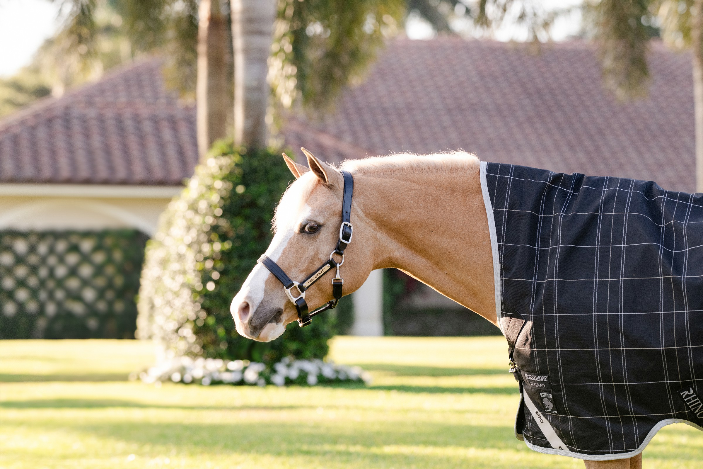 Cobertura Horseware Rhino Wug Poney Turnout 250g VL Preto / xadrez branco cinza