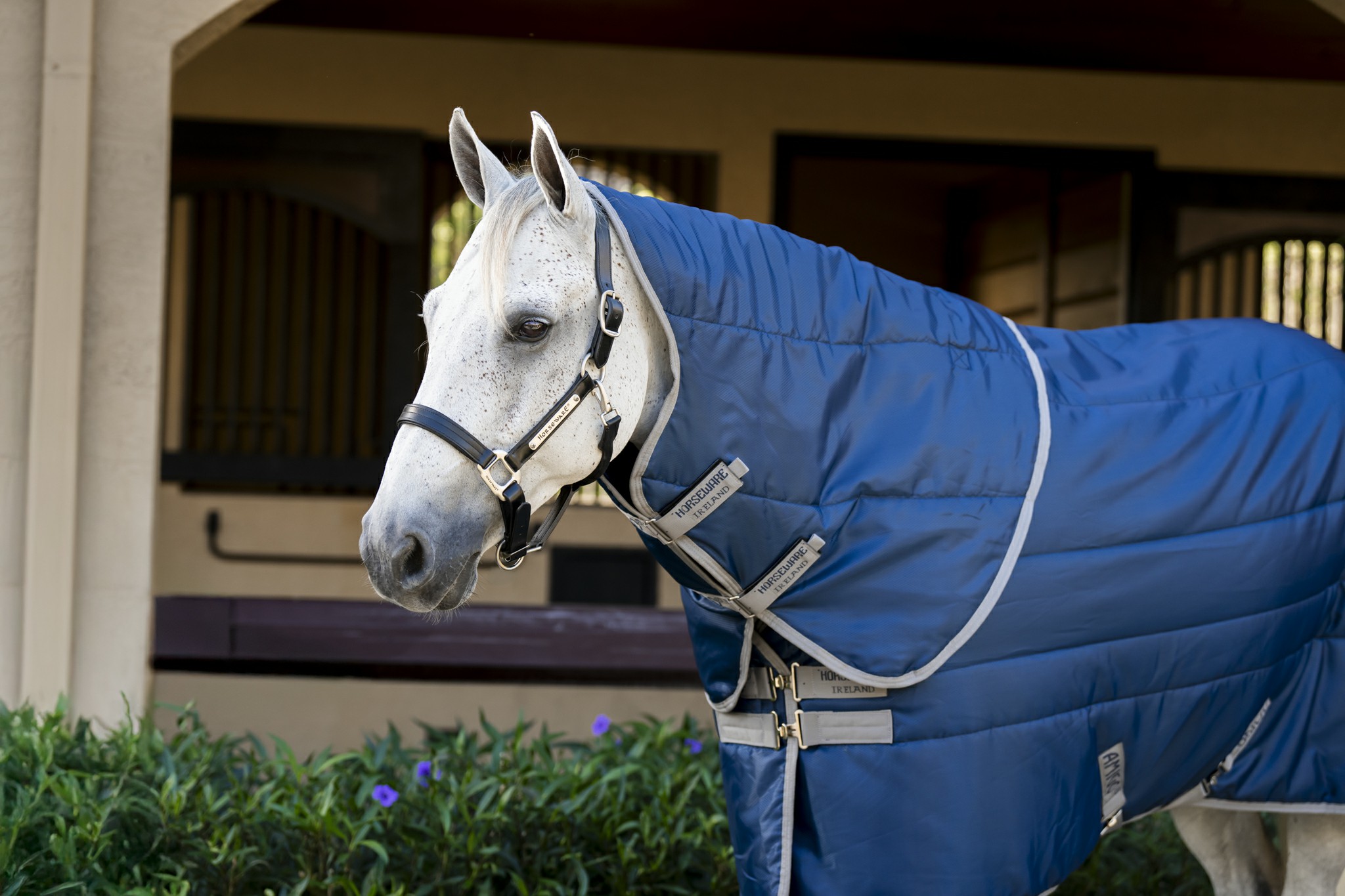 Cobre-pescoço de estábulo Horseware Amigo Ripstop Insulator 100g Marinho / cinza titânio Azul-marinho