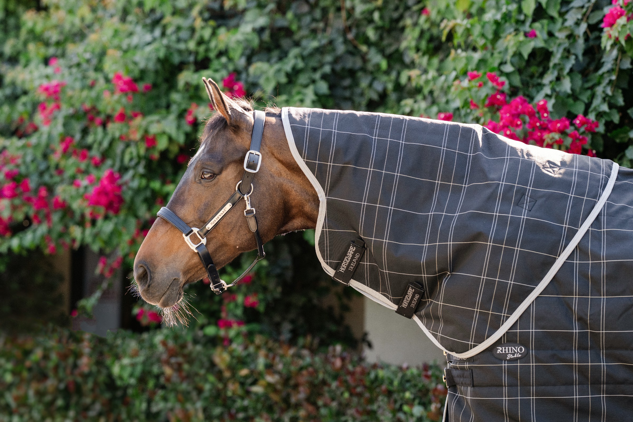 Pescoço de estábulo Horseware Rhino 100g Preto / xadrez branco cinza Pescoço de estábulo Horseware Rhino 100g Preto / xadrez branco cinza