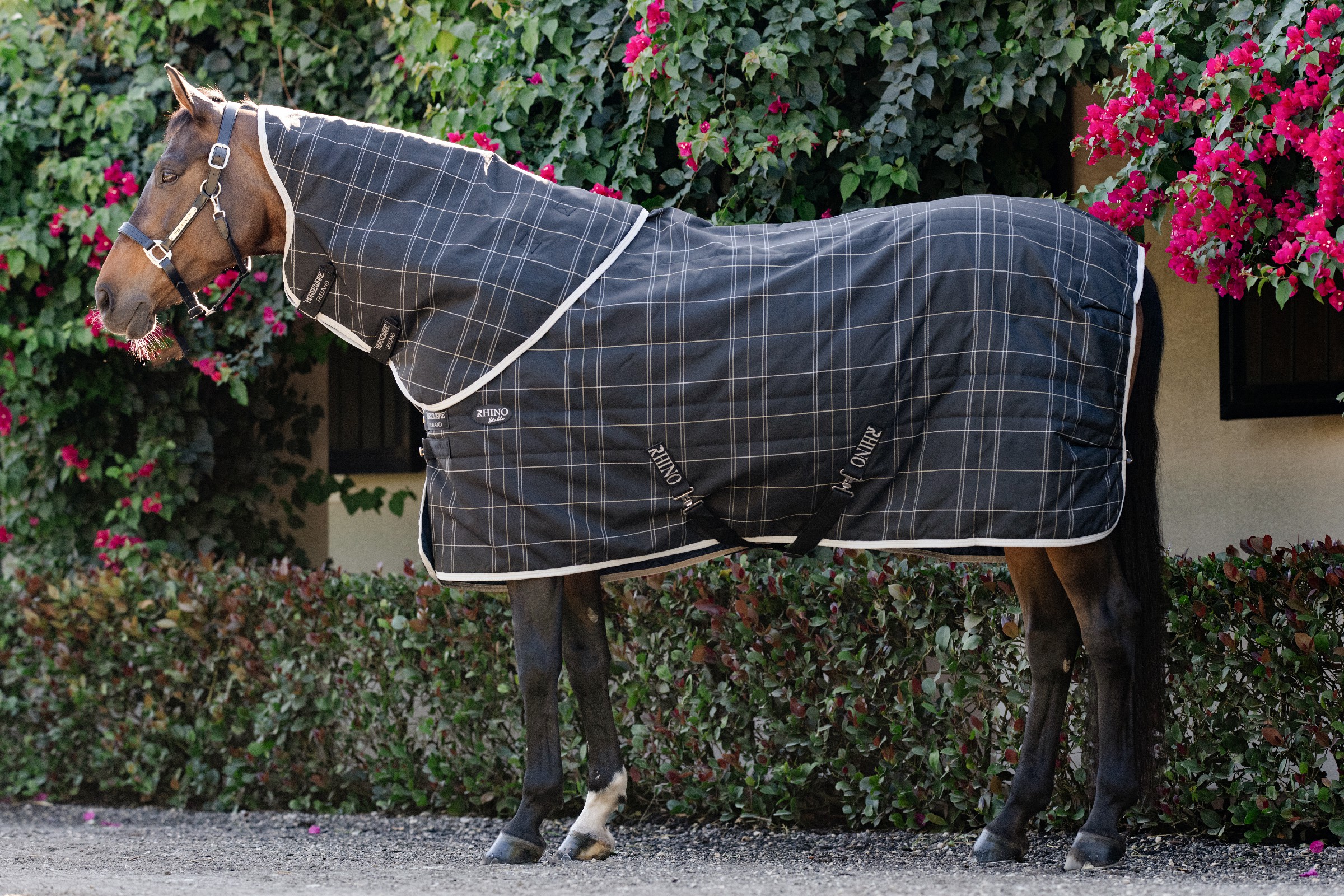 Pescoço de estábulo Horseware Rhino 100g Preto / xadrez branco cinza