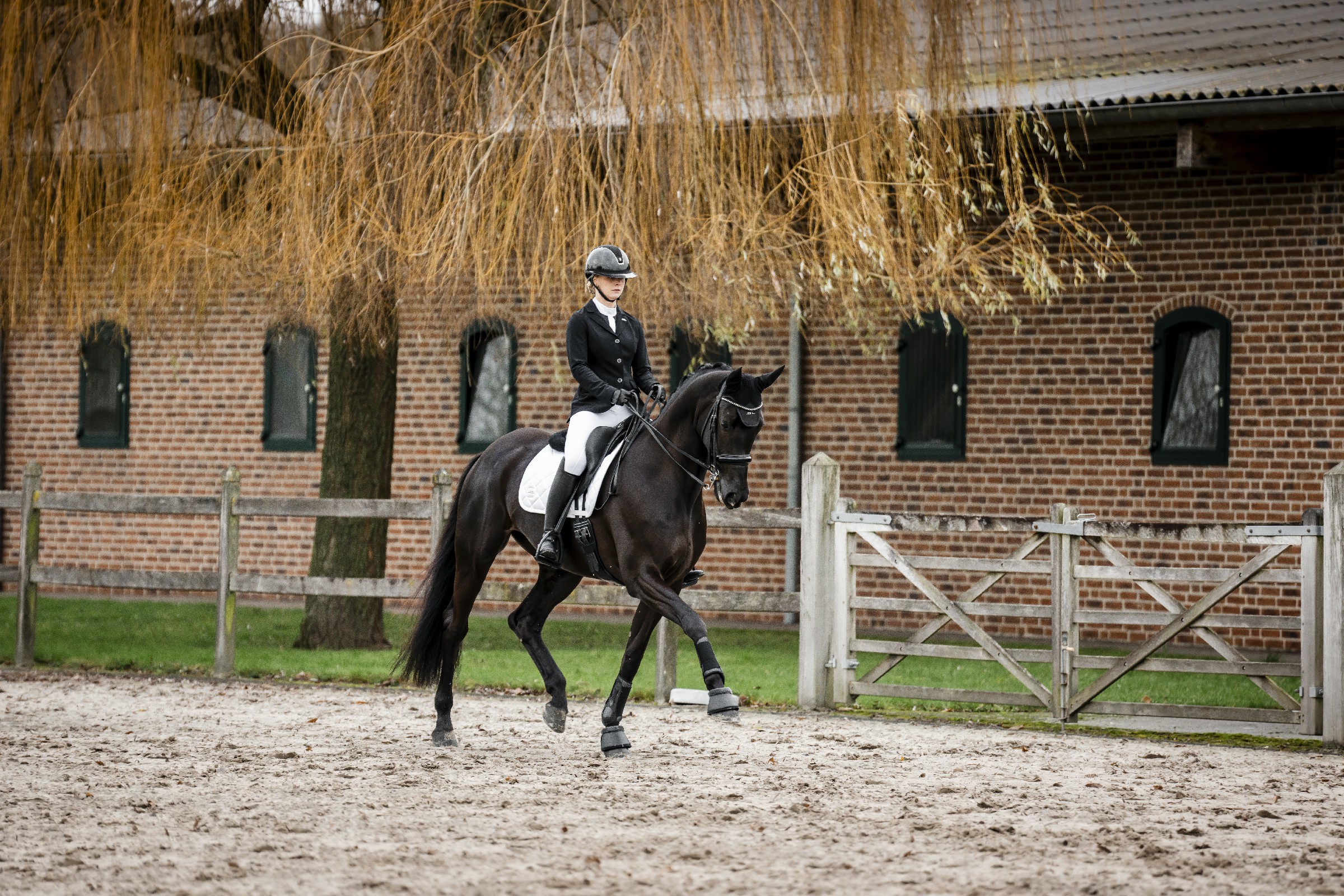 Calça Horseware AA Allora com assento completo Branco