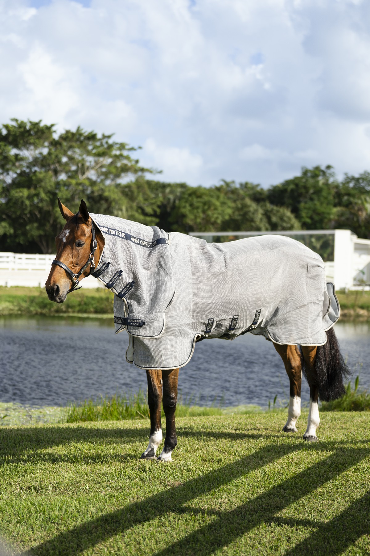 Camisa anti-moscas Horseware Rambo Protector Integrada Prata / marinho