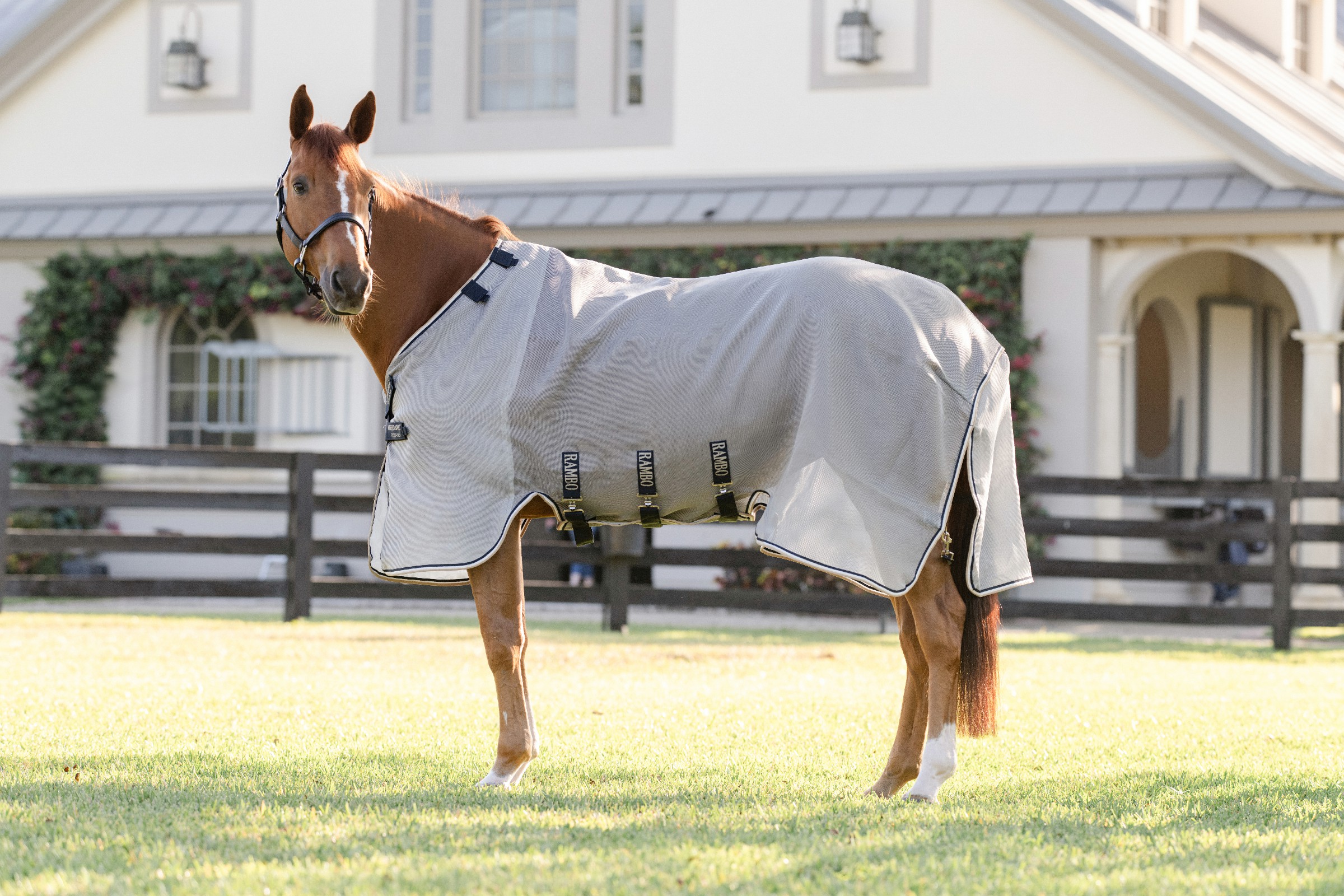 Camisa anti-moscas Horseware Rambo Protector Fieldsafe Prata / marinho