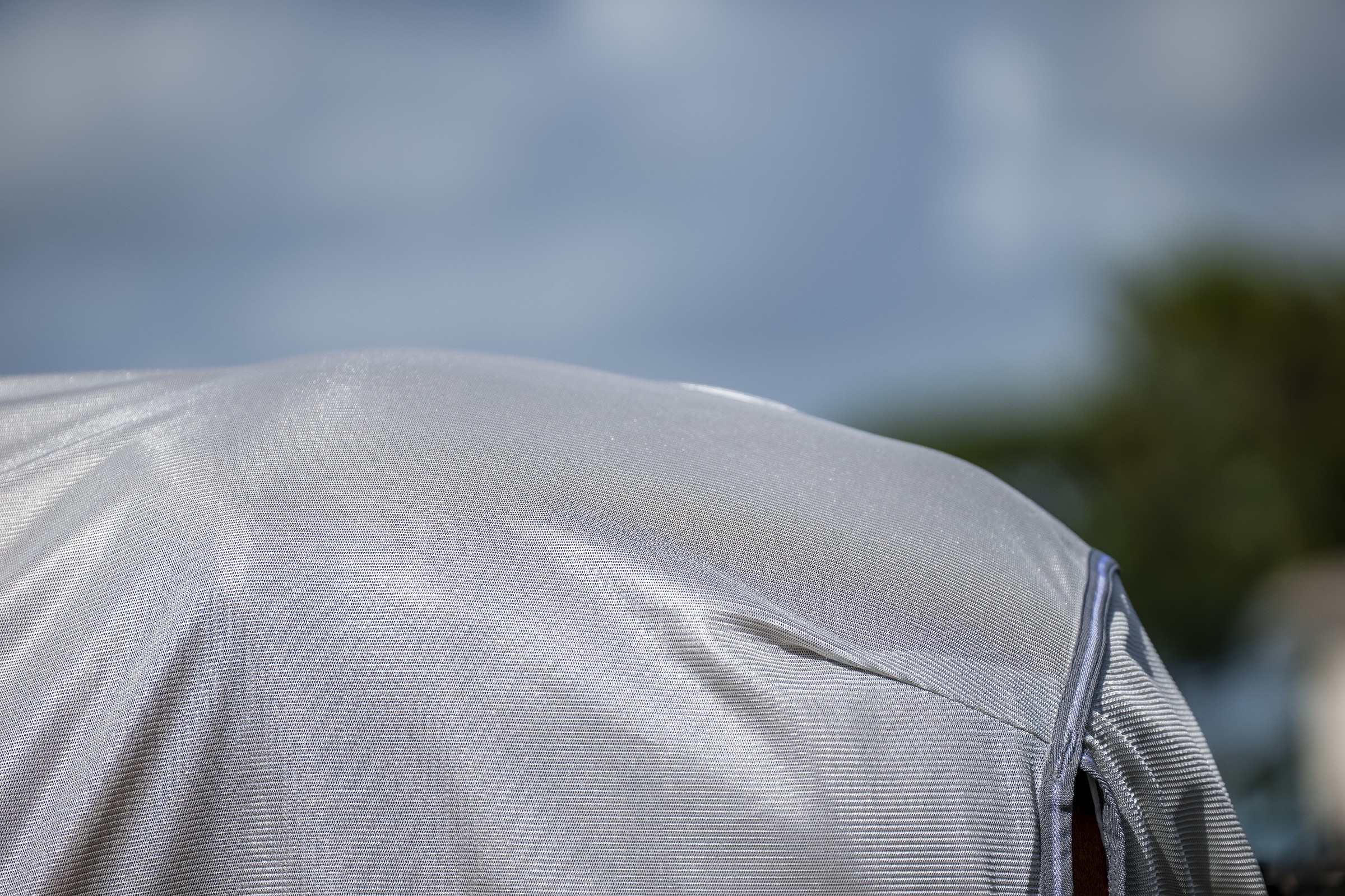 Camisa anti-moscas Horseware Amigo Bug Rug Plus Prata / cinza titânio / prata