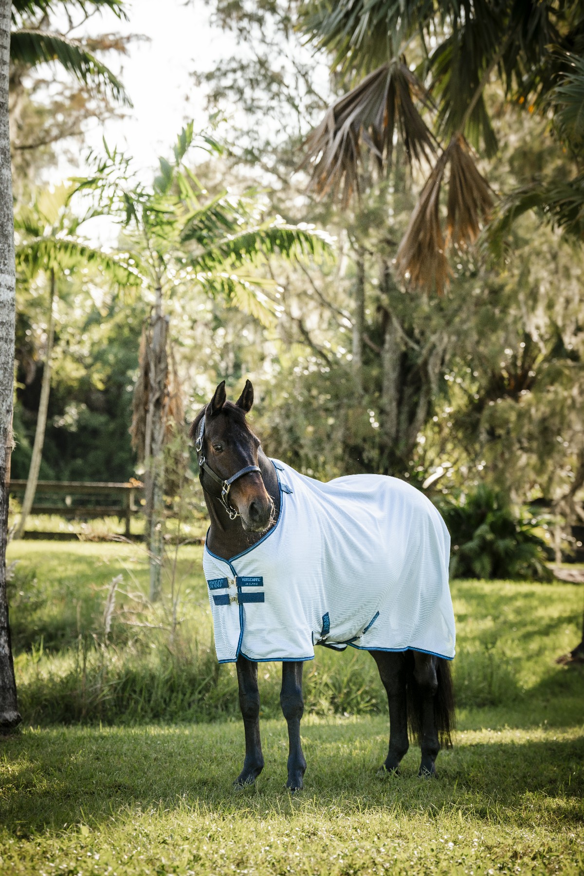 Camisa anti-moscas Horseware Amigo Bug Rug