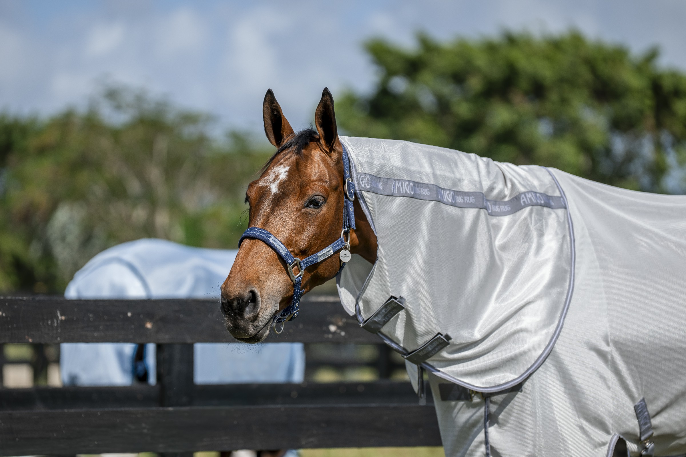 Camisa anti-moscas Horseware Amigo Bug Rug XL Plus Prata / cinza titânio / prata