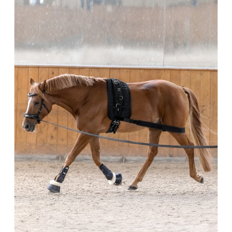 Bandagem corporal Waldhausen para garupa