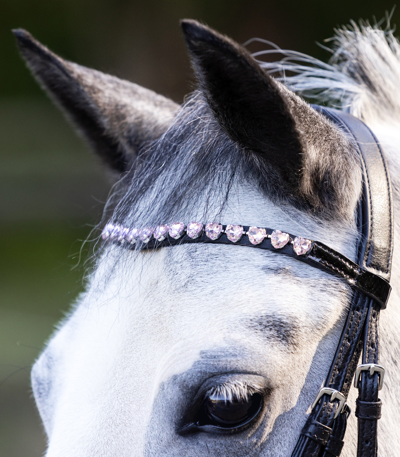 Bridon Waldhausen Happy Hearts Preto Bridon Waldhausen Happy Hearts Preto