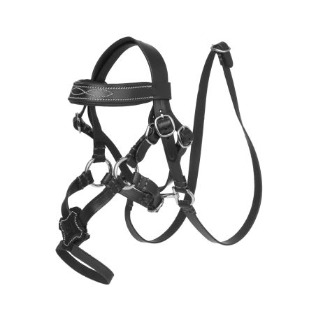 Bridão com focinheira cruzada LeMieux Toy Pony