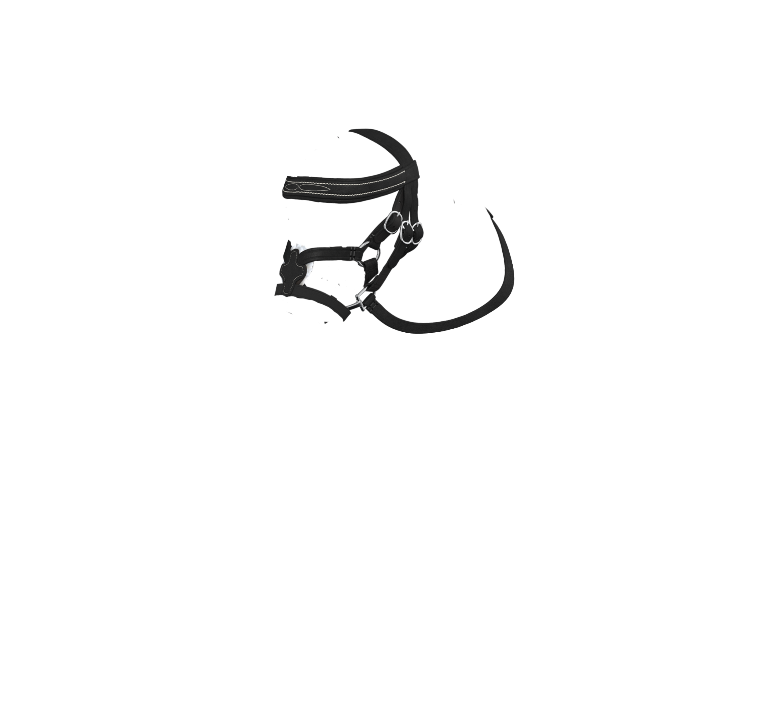 Bridão com focinheira cruzada LeMieux Toy Pony Preto