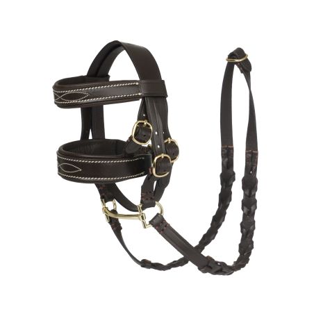 Bridão Hunter LeMieux Pônei de Brinquedo