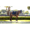 Tapis de dressage LeMieux Essence Square - Marinho