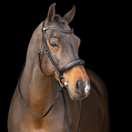 Bridão com focinheira inglesa Imperial Riding