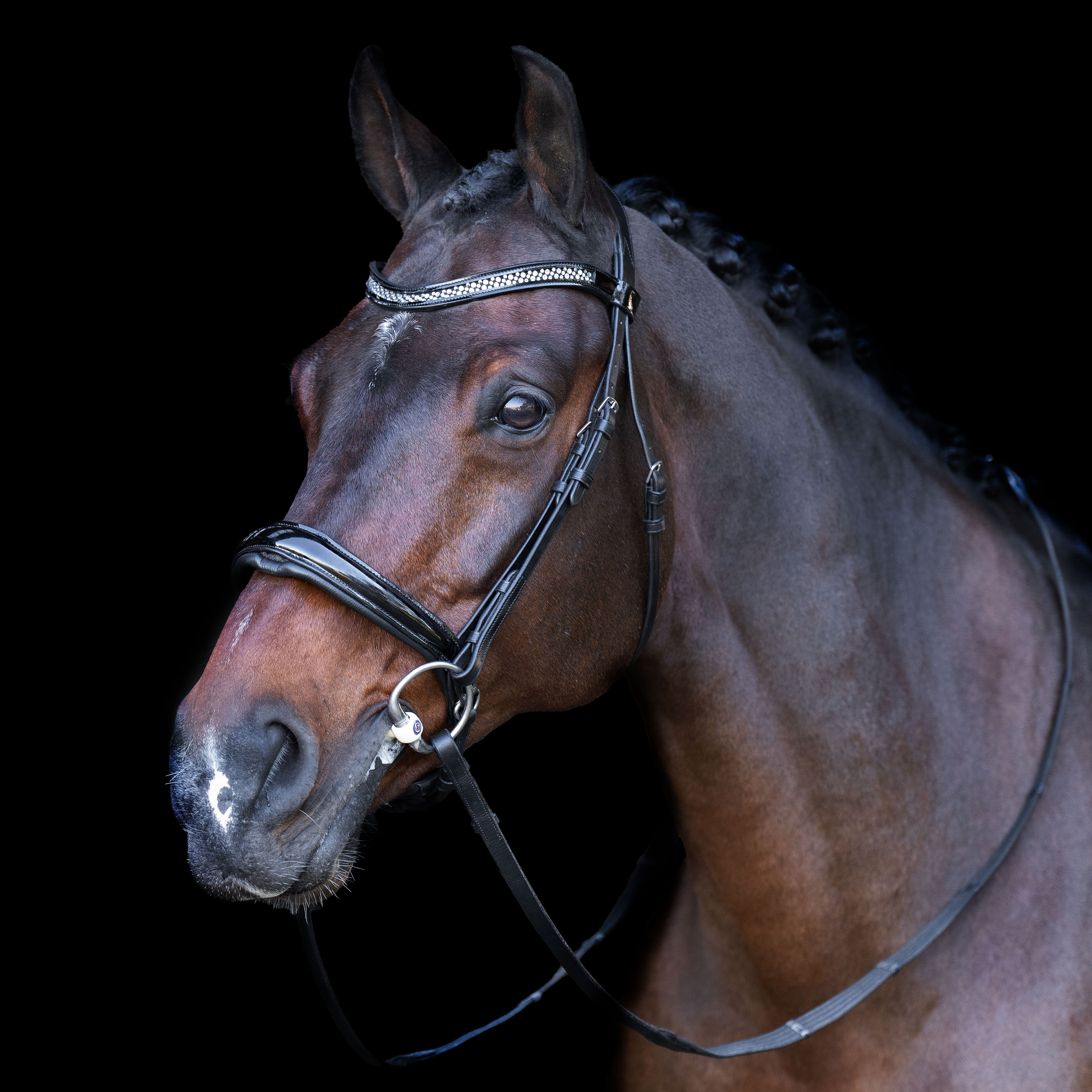 Bridão com focinheira inglesa Imperial Riding Preto / cristal