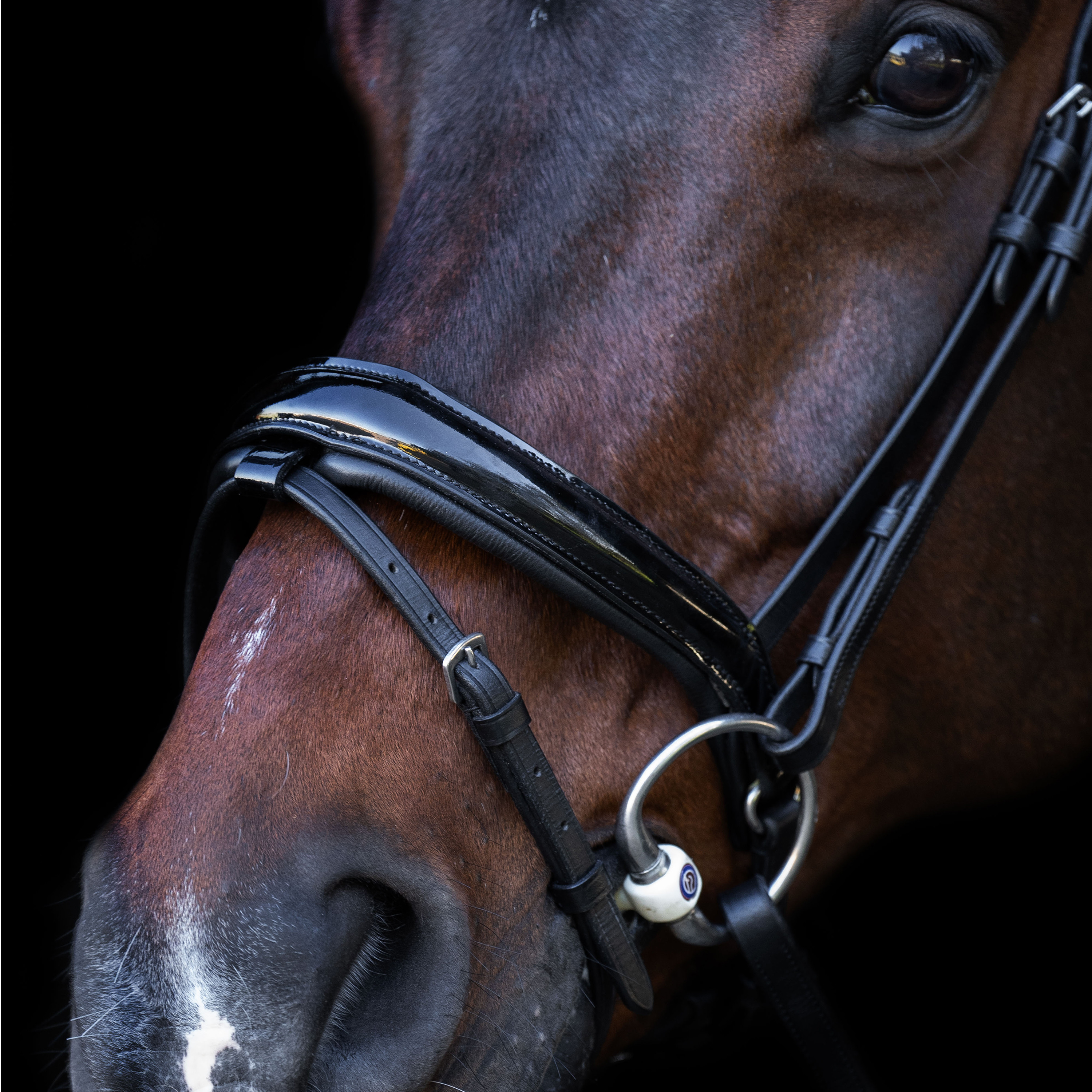 Bridão com focinheira inglesa Imperial Riding Preto / preto