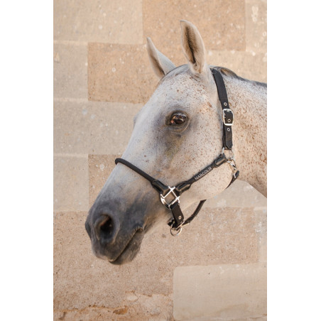 Caveção Harcour Honey