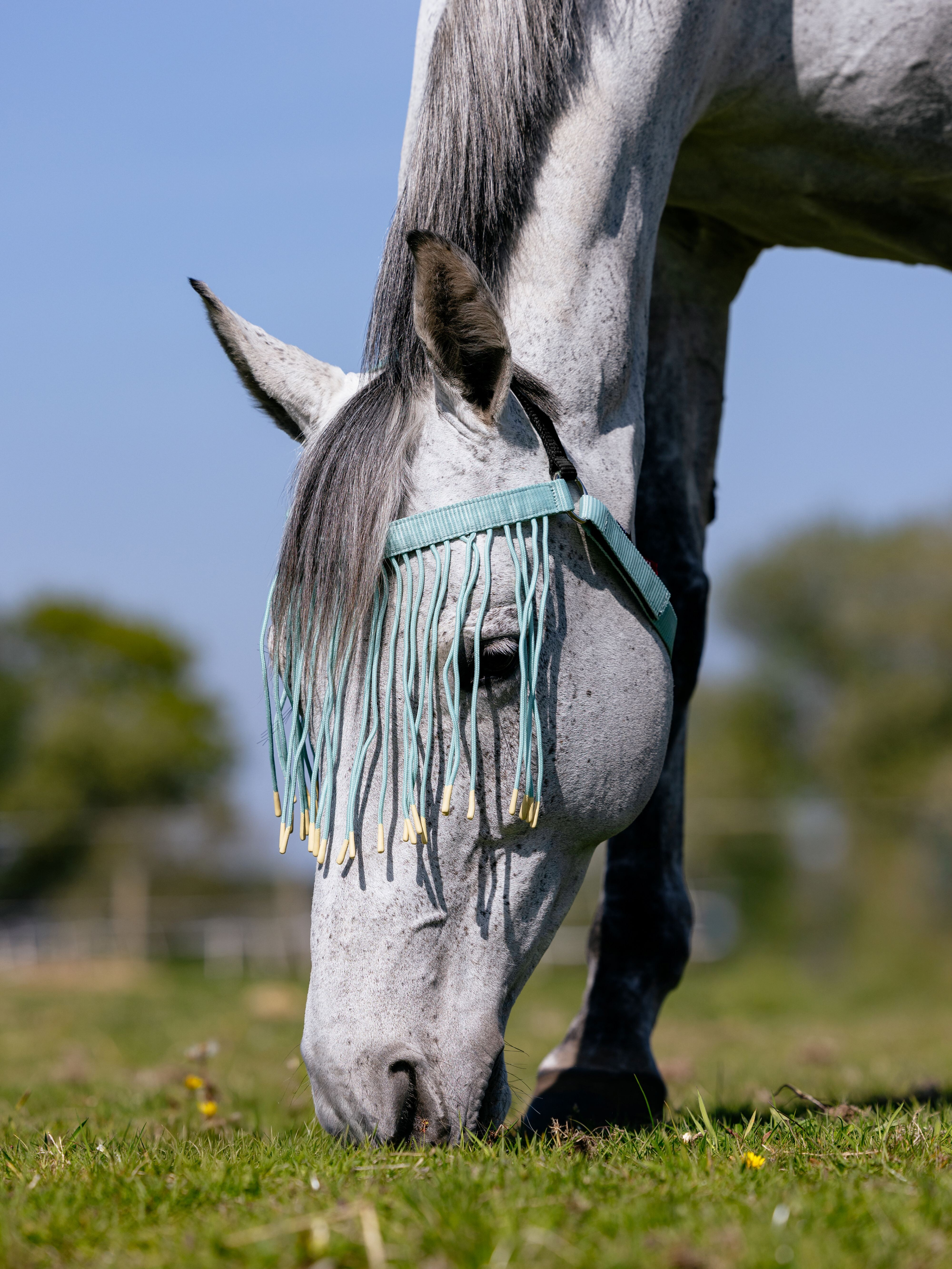 Franja anti-moscas LeMieux Água