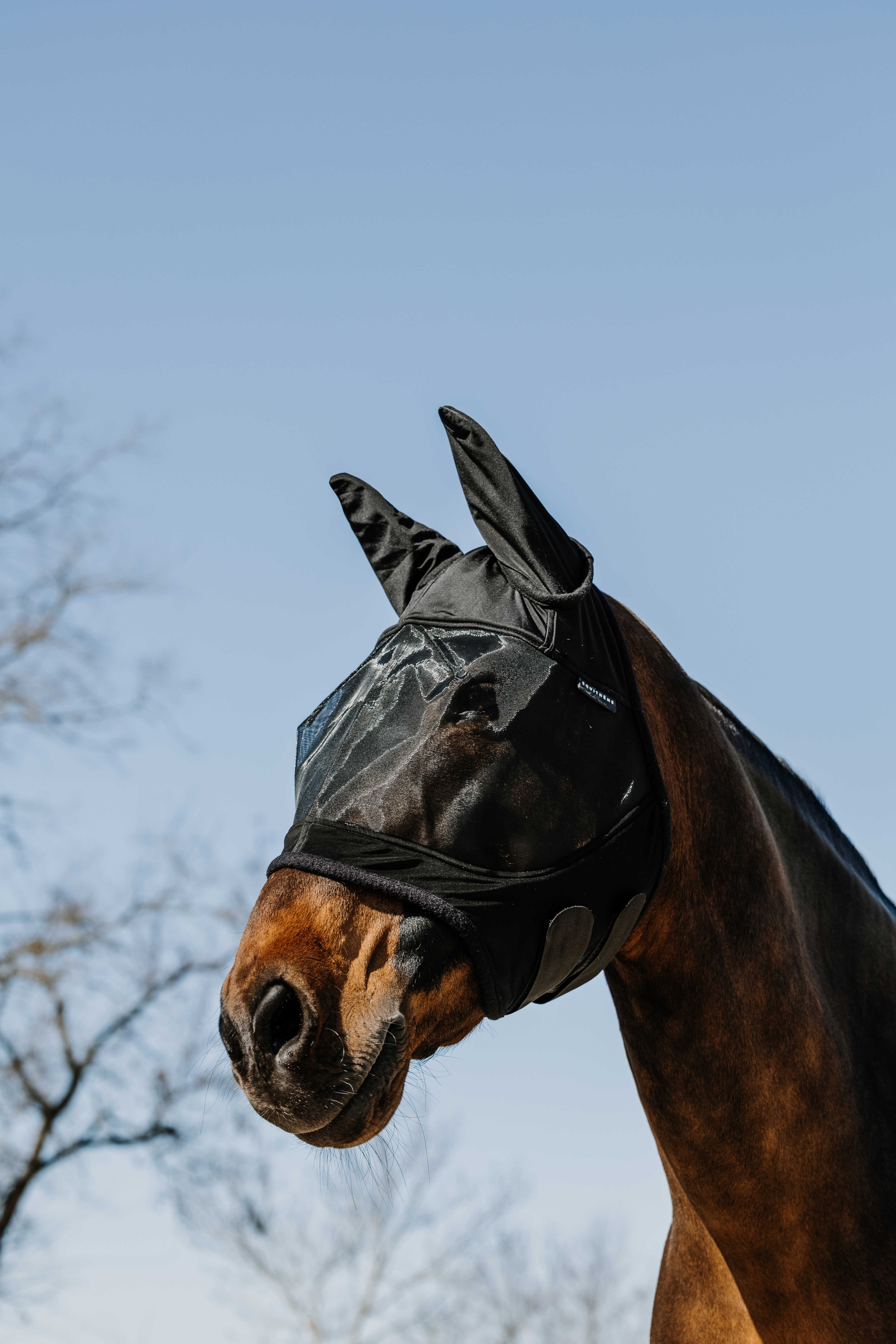 Máscara anti-moscas anti-UV Equithème Soft Preto