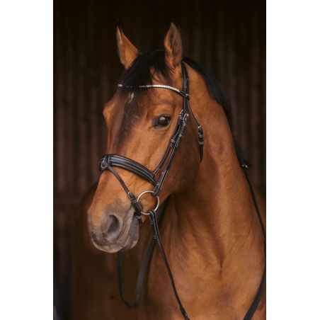 Bridão Pénélope Daily Strass SR