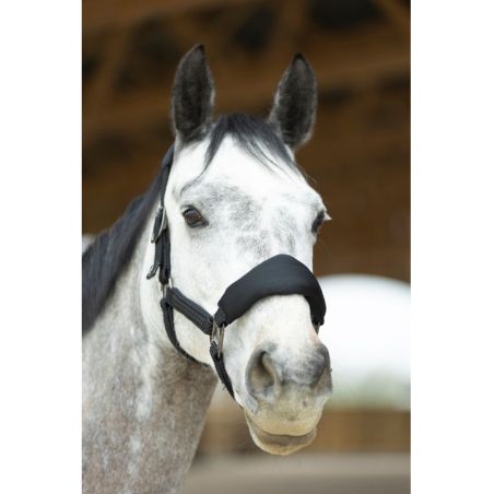 Conjunto de cabresto ergonômico em mesh e corda ProConfort Dorai