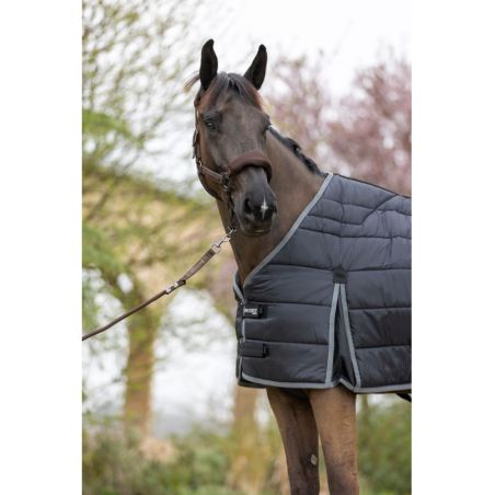 Forro ergonômico 300G ProConfort Gab