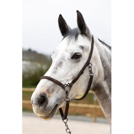 Cabresto de grooming ProConfort Dialou