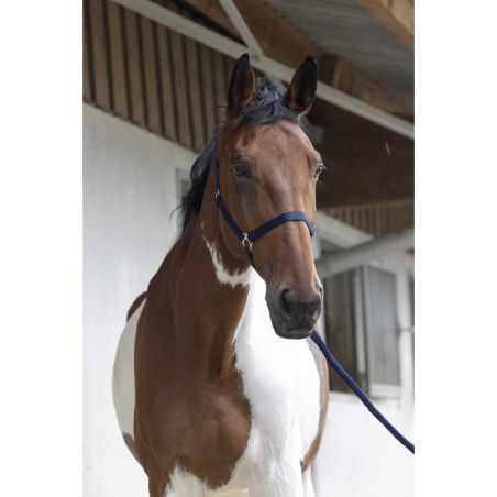 Conjunto de cabeçada e rédea Club