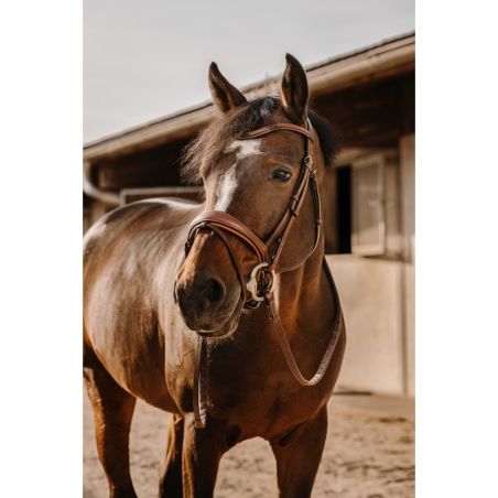 Rédias de borracha Eric Thomas Digit