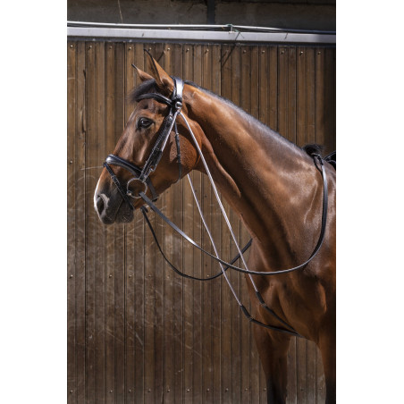 Chambon Eric Thomas Pro