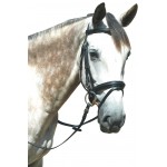Bridon Pull Back Le Touquet Privilégio Equitação