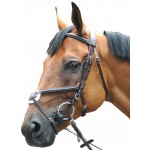 Bridão Royan Cruzado Privilégio Equitação