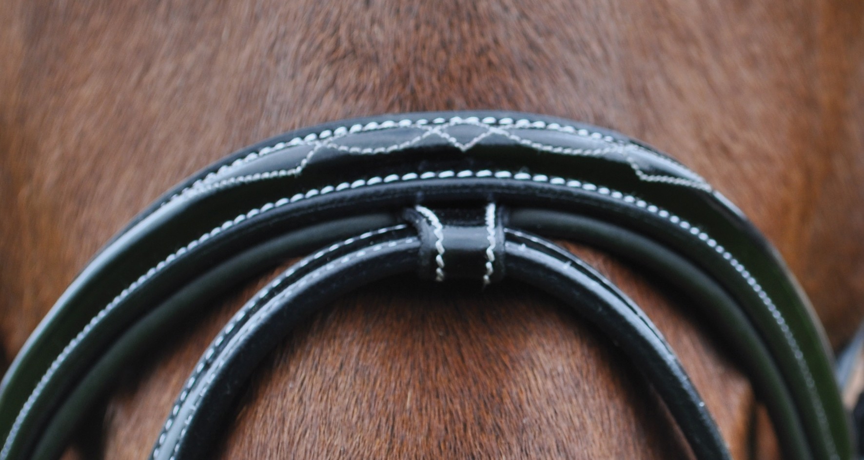 Bridão Nice Combinado Privilégio Equitação Preto