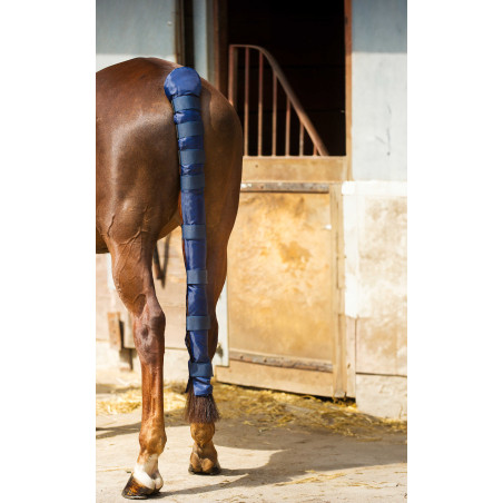 Protetor de cauda Norton Doudoune longo