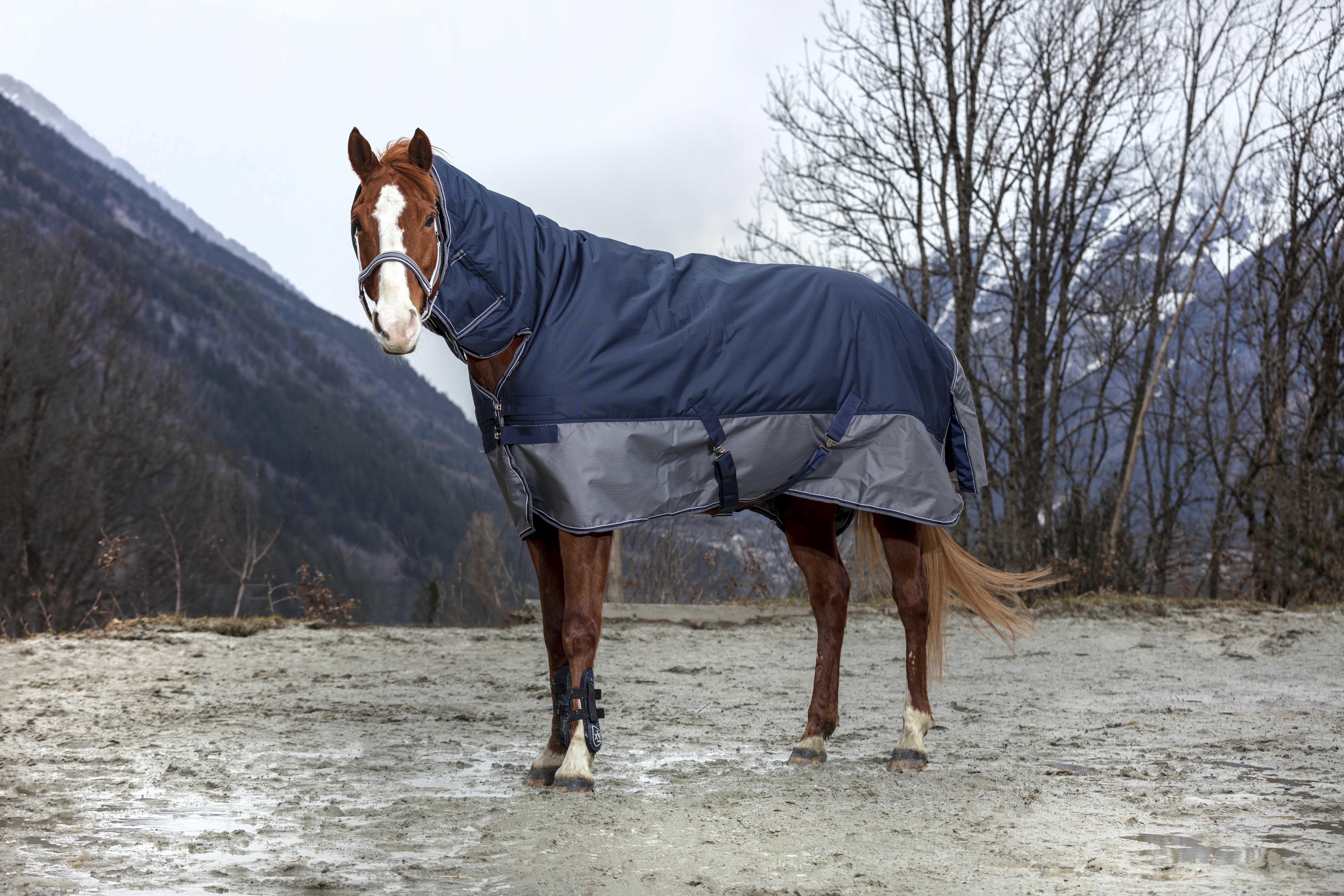 Capa Equithème Tyrex 600D Combo 350g