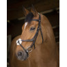 Bridão Norton Pro com focinheira cruzada - Preto