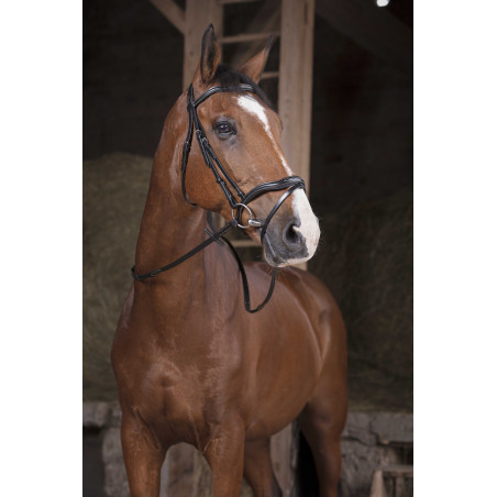 Rendas Norton Pro Supergrip