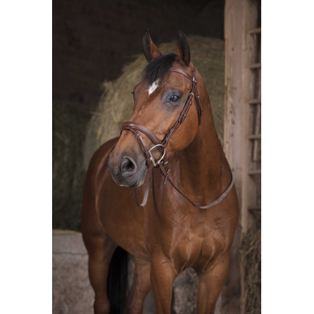 Rédias de borracha Norton Pro