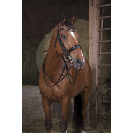 Rendas de bridão Norton 13 mm