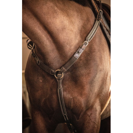 Martin collier Penélope