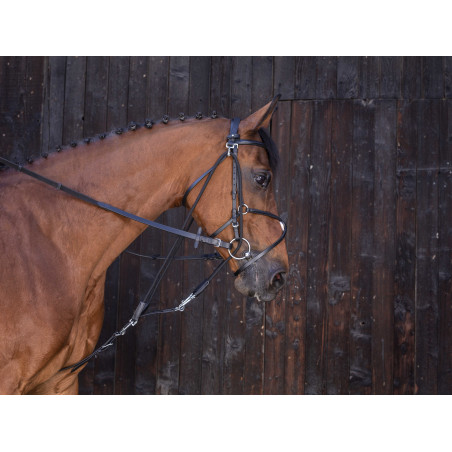 Gogue com roldanas Riding World