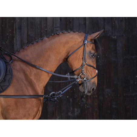 Enrêno de borracha Riding World