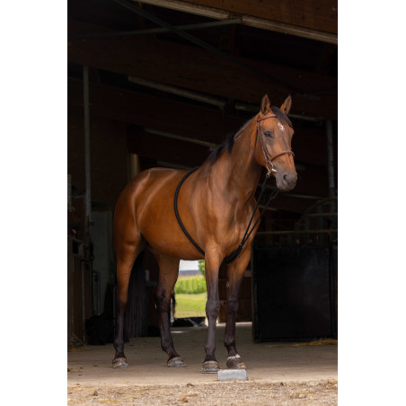 Enrêno Norton extensor suave