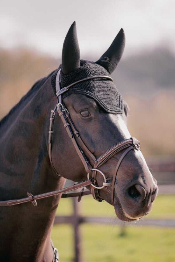 Touca para cavalos Pénélope Soundless Strass Preto