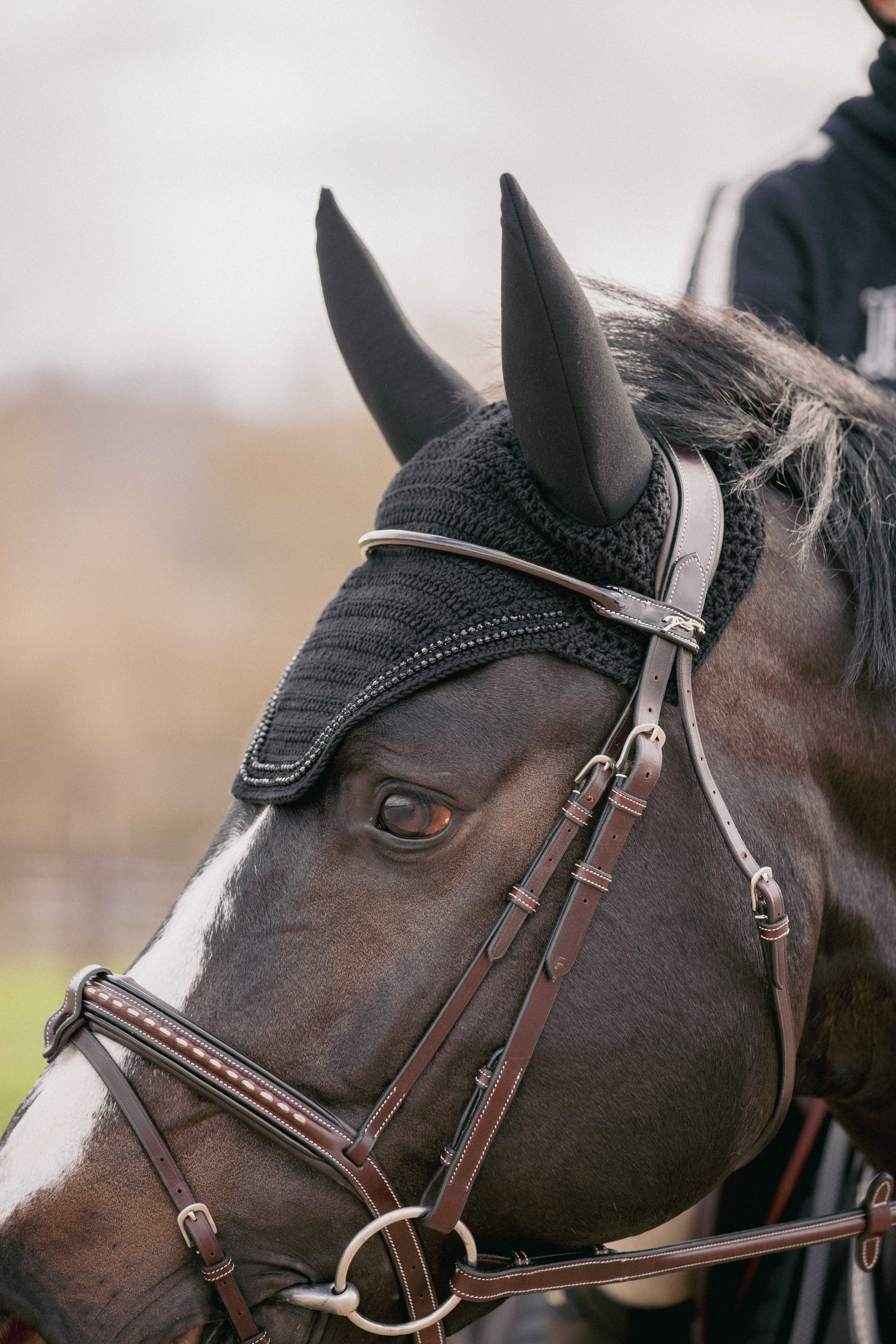 Touca para cavalos Pénélope Soundless Strass Preto