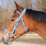 Trensenzaum Biotack® T de T