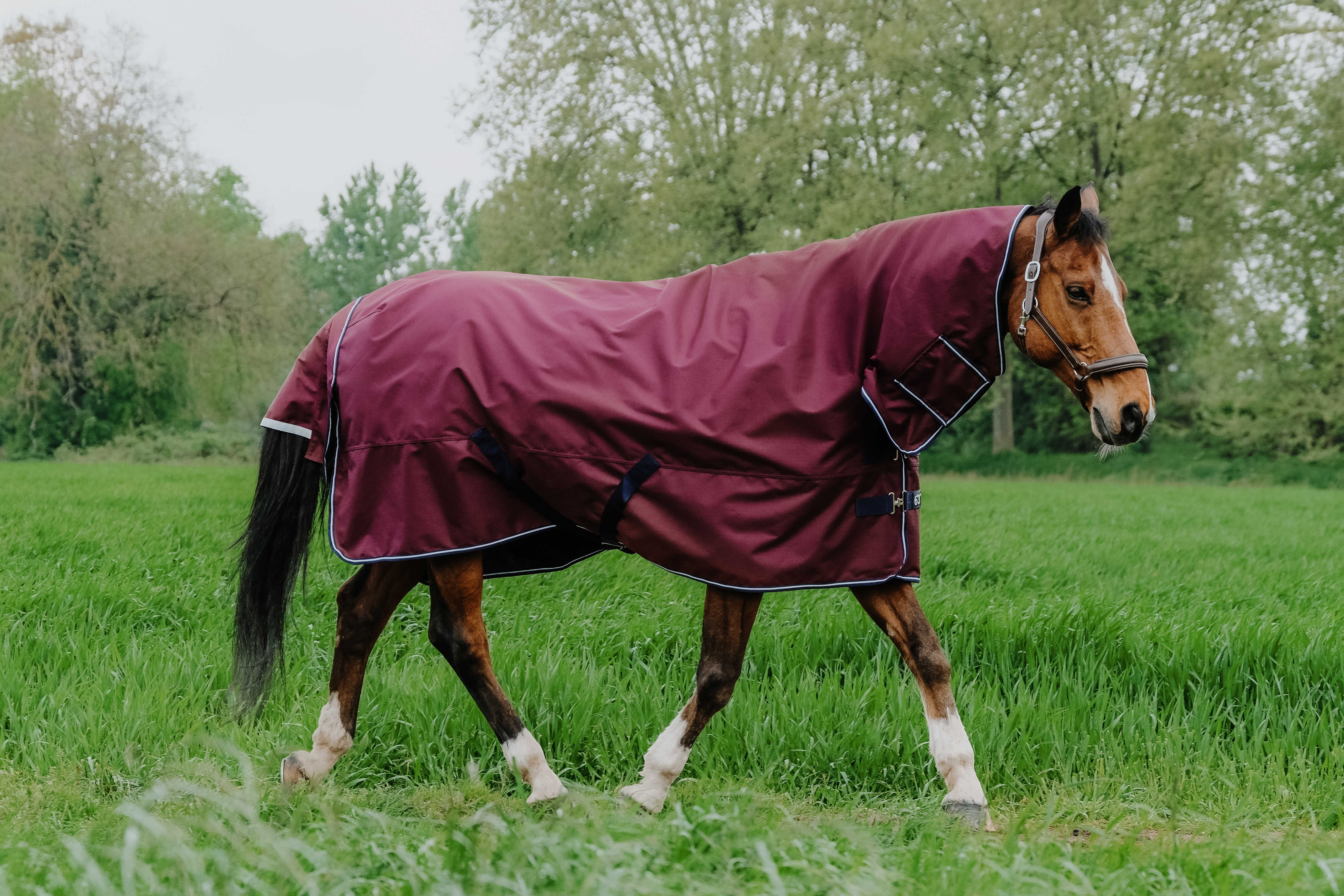 Capa Equithème TYREX 1200D Combo Bordéus Bordô Capa Equithème TYREX 1200D Combo Bordéus Bordô