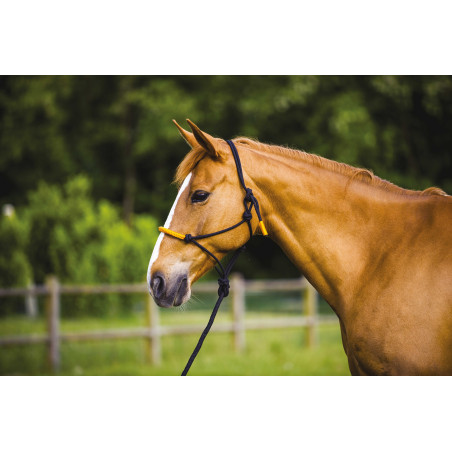 CABEÇÃO ETOLÓGICO + CABRESTO FUN COLOUR